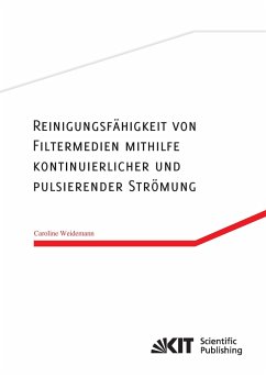 Reinigungsfähigkeit von Filtermedien mithilfe kontinuierlicher und pulsierender Strömung - Weidemann, Caroline