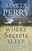 Where Secrets Sleep (eBook, ePUB)