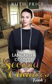 Lancaster County Second Chances 3 (Lancaster County Second Chances (An Amish Of Lancaster County Saga), #3) (eBook, ePUB)