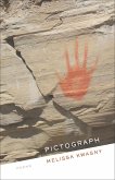 Pictograph (eBook, ePUB)