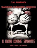 Il Leone dorme stanotte (eBook, ePUB)