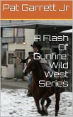 A Flash Of Gunfire: Wild West Story (Wild West Series) (eBook, ePUB)