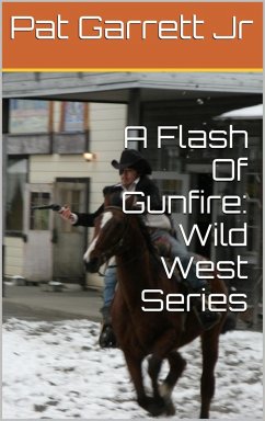 Cover A Flash Of Gunfire: Wild West Story (Wild West Series) (eBook, ePUB)