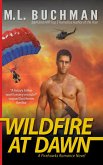 Wildfire at Dawn (eBook, ePUB)