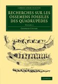 Recherches sur les ossemens fossiles des quadrupèdes - Volume 3