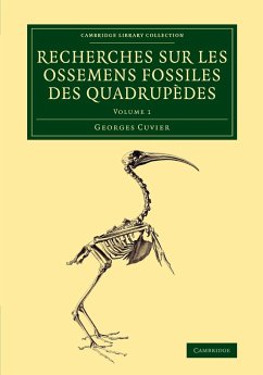 Recherches sur les ossemens fossiles des quadrupèdes - Volume 1 - Cuvier, Georges