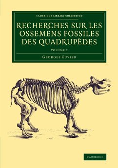 Recherches sur les ossemens fossiles des quadrupèdes - Volume 2 - Cuvier, Georges