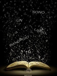 Sono un libro randagio (eBook, ePUB) - Stesso, Me