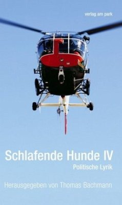 Cover Schlafende Hunde IV
