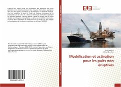 Modélisation et activation pour les puits non éruptives - Jamoui, Amir;Ben Nsir, Mehdi