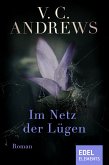 Das Netz im Dunkel (eBook, ePUB)