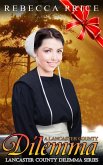 A Lancaster County Dilemma (eBook, ePUB)