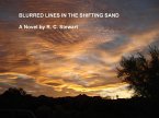 BLURRED LINES IN THE SHIFTING SAND (eBook, ePUB)