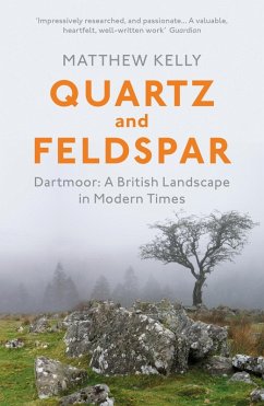 Quartz and Feldspar (eBook, ePUB) - Kelly, Matthew
