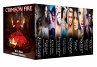 Crimson Fire (A 10 Book Fantasy &... - Bild 1