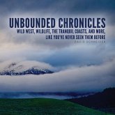 Unbounded Chronicles