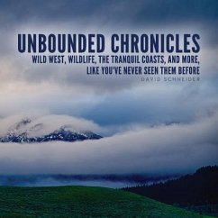 Unbounded Chronicles - Schneider, David