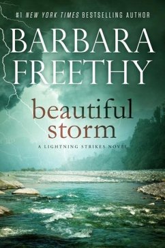 Beautiful Storm - Freethy, Barbara