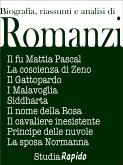 Riassunti di romanzi (eBook, ePUB)