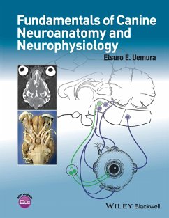 Canine Neuroanatomy - Uemura, Etsuro E.