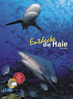 Entdecke die Haie - Ritter, Erich