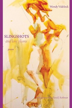 Slingshots and Love Plums - Poems - Videlock, Wendy