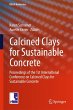 Calcined Clays for Sustainable Concrete - Bild 1
