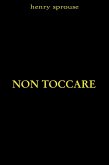 Non toccare (eBook, ePUB)