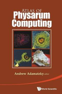 ATLAS OF PHYSARUM COMPUTING - Andrew Adamatzky