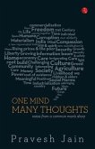 One Mind, Many Thoughts: Notes from a Common Man's Diary