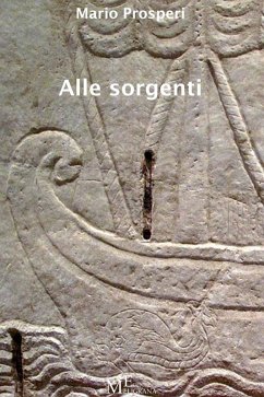 Cover Alle sorgenti (eBook, ePUB)