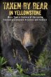 Taken by Bear in Yellowstone - Bild 1