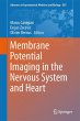 Membrane Potential Imaging in the... - Bild 1