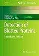 Detection of Blotted Proteins - Bild 1