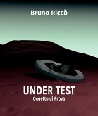 Under Test (eBook, ePUB)