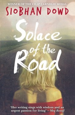 Solace of the Road - Dowd, Siobhan