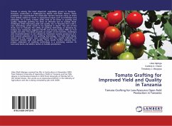 Tomato Grafting for Improved Yield and Quality in Tanzania