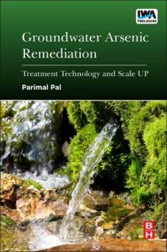 Groundwater Arsenic Remediation - Chaudhuri, Parimal Pal