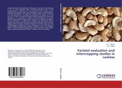 Varietal evaluation and intercropping studies in cashew
