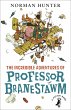The Incredible Adventures of Professor... - Bild 1