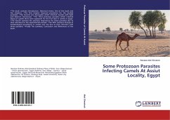 Some Protozoan Parasites Infecting Camels At Assiut Locality, Egypt - Abd Elmaleck, Barakat