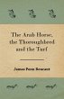 The Arab Horse, the Thoroughbred and... - Bild 1