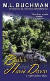 Beale's Hawk Down (eBook, ePUB)