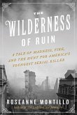 The Wilderness of Ruin (eBook, ePUB)