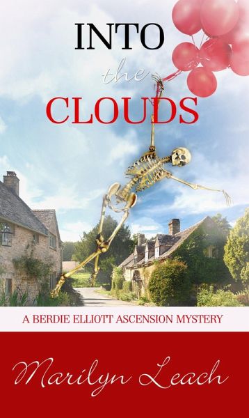 Into the Clouds (eBook, ePUB)