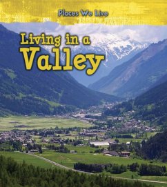 Cover Living in a Valley (eBook, PDF)