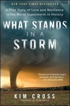 What Stands in a Storm (eBook, ePUB) - Cross, Kim