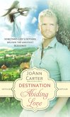 Detour: Destination Abiding Love (eBook, ePUB) Detour: Destination Abiding Love (eBook, ePUB)