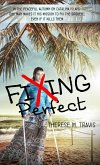 Fixing Perfect (eBook, ePUB)