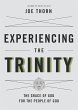 Experiencing the Trinity (eBook, ePUB) - Bild 1